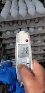 השמדת אלפי ביצים שנמצאו מסוכנות למאכל אדם בקריית שרת בחולון. צילום-עיריית חולון (2)