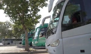 אוטובוסים צילום דוברות משטרת ישראל