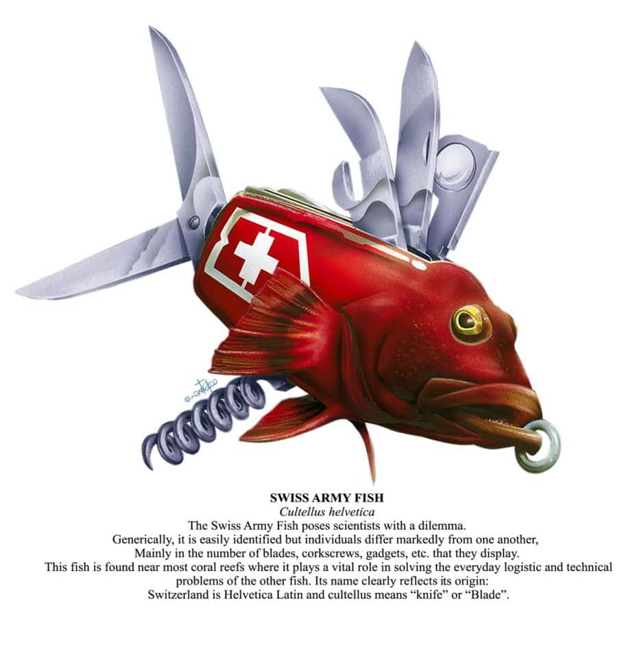 awiss army fish – אוקיאנוגרפיקה – איור שלמה כהן