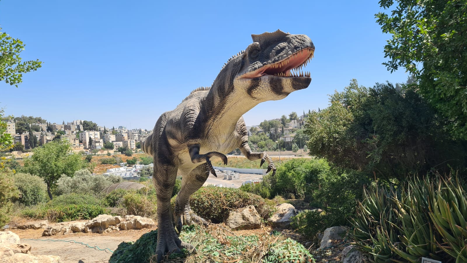 בוטניזאור פעילות הקיץ בגן הבוטני צילום תום עמית (1)