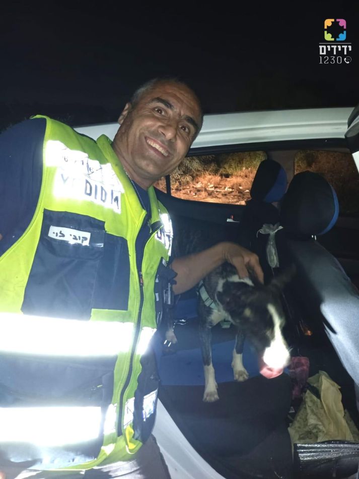חילוץ כלב צילום ידידים סיוע בדרכים