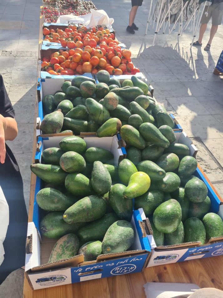 ירקות צילום עיריית חולון