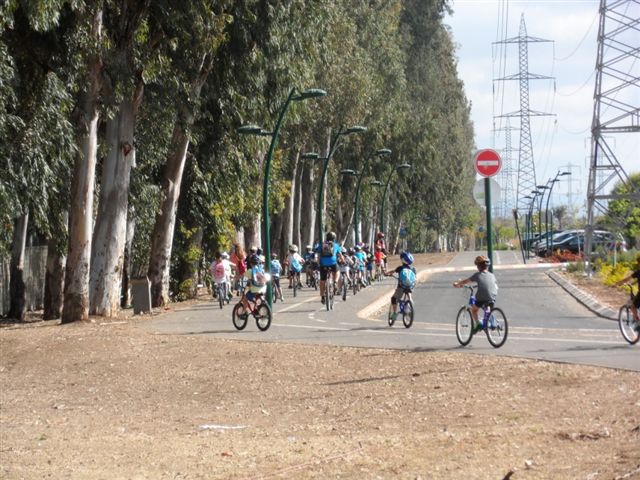 אופניים ילדים שביל צילום אור ירוק