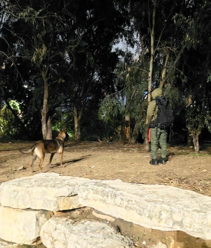 חיפוש כלב צילום יכל יחידת כלבנים לישראל (1)