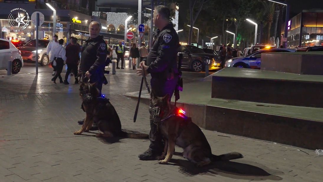 כלבים שוטרים משטרה צילום דוברות משטרת ישראל
