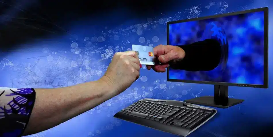 הונאה מחשב כרטיס אשראי עקיצה צילום PIXABAY